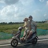 hund-paa-scooter.jpg